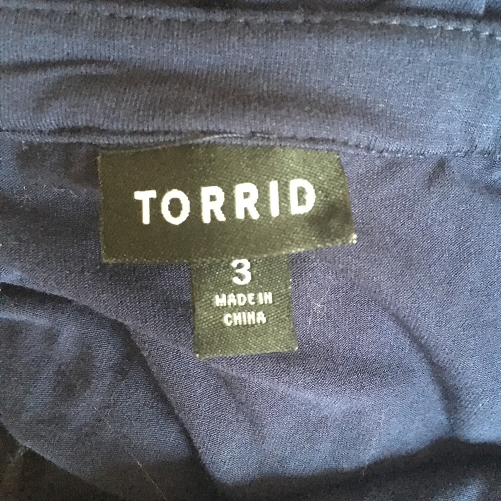 Torrid Dress - Picture 3 of 3